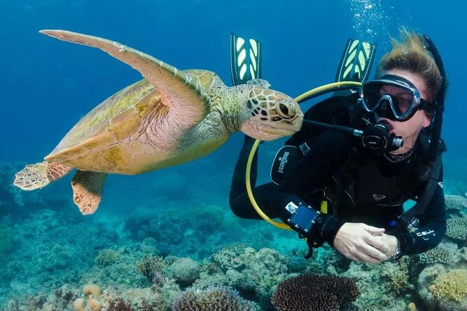 Diving at Tiran Island from Sharm El Sheikh