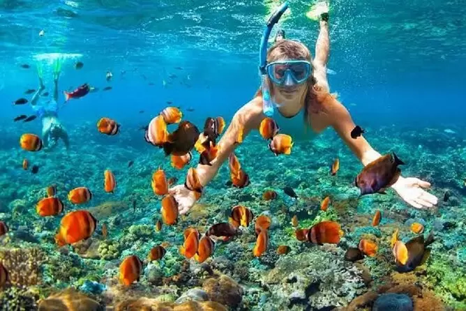 Schnorchler umgeben von orangefarbenen tropischen Fischen über einem flachen Korallenriff