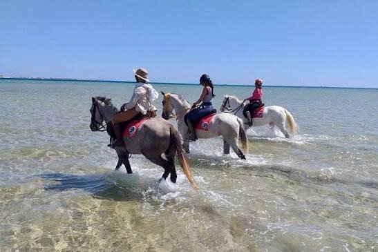 Balade à cheval sur la plage à Sharm El Sheikh