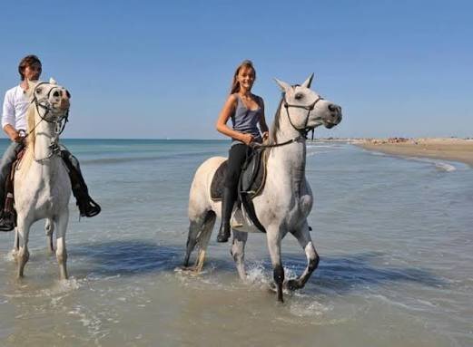 Couple riding white horses through shallow water along a sandy beach