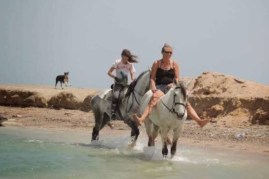 Horse Riding in Sharm El Sheikh: Desert Ride