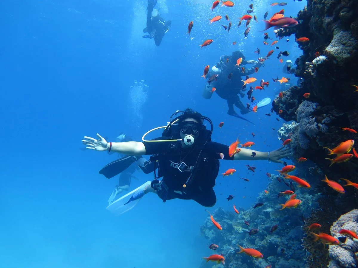 Plongeur les bras écartés parmi des anthias orange le long d'un tombant de la mer Rouge